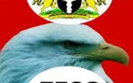 Alleged N119m Fraud: You have a Case to Answer,   Court Tells Ex-Director,  SMEDAN