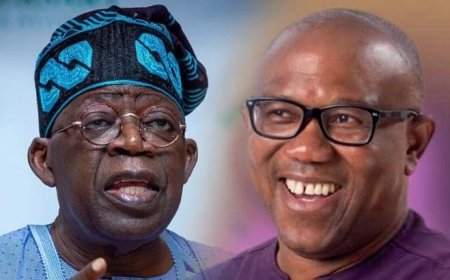 Peter Obi, Reno Omokri in crossfire over Tinubu's failure to visit Benue genocide community