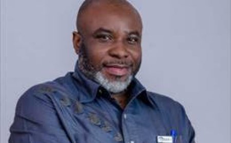 Underdevelopment and Alienation in Nigeria: A Tragedy of Leadership and Institutional Betrayal