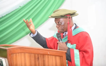 Igbo has no relationship with Jews- Emeritus Prof P-Jazzy Eze