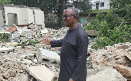 Peter Obi laments demolition of brother's property by unknown persons