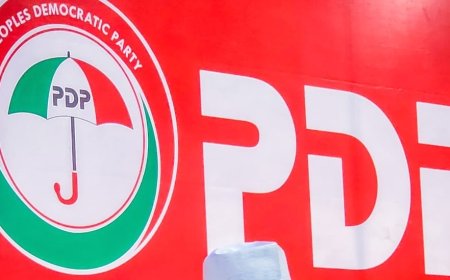 Group Berates PDP over Mistreatment of South East