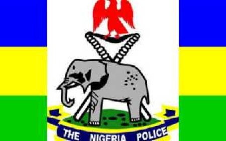 Newborn girl found alive after being buried on farmland