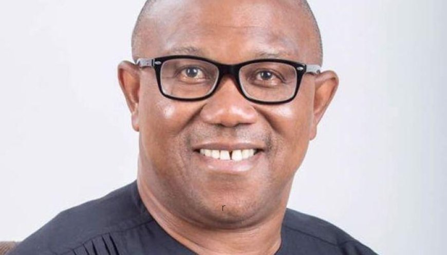 Why the Controversial tax law should be paused - Peter Obi