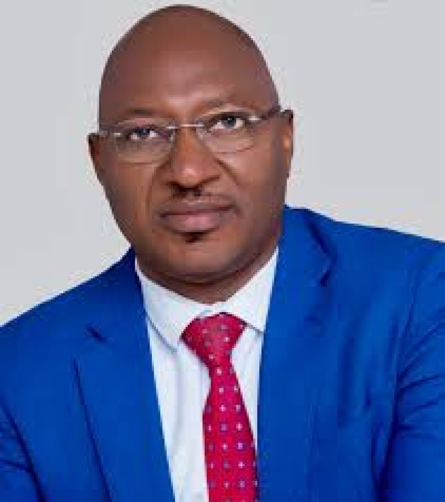 Revolutionary Representation: The Transformative Political Path of Rep. Paul Nnamchi