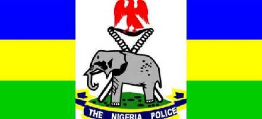 Newborn girl found alive after being buried on farmland