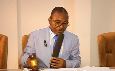 Nursing, a passion, calling career ---VC Emaimo