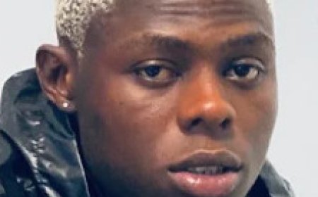 MOHBAD: Coroner inquest indicts quack nurse, police, father, wife