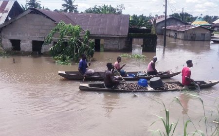 Anambra: Fear Grips 84 Communities Over Pending  Flood