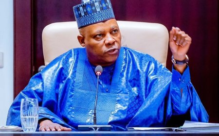How Shettima ignited the inferno beneath