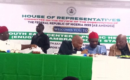 Resolve South East Marginalization with Adada State creation --- Nwodo urges Reps com'tte