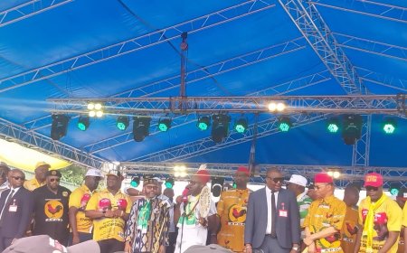 I'll Hand Over To Anambra Central -Soludo