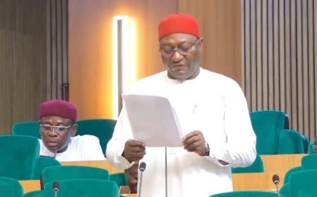 3rd Prof Nnamchi'sTech-Hub & Youth Innovation holds in Enugu, Isi-Uzo