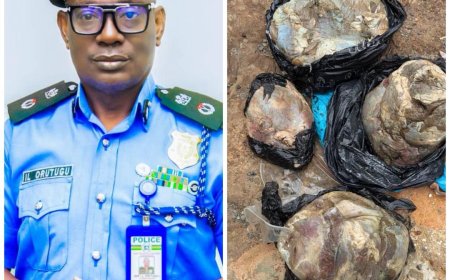 ANAMBRA: Police Discover Human Parts of Murdered pregnant  Nurse At Native Doctor's Shrine