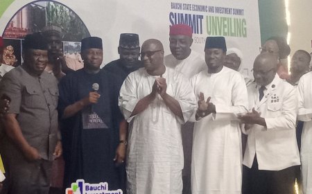 Invest in Bauchi, Gov Mohammed Urges South East Entrepreneurs