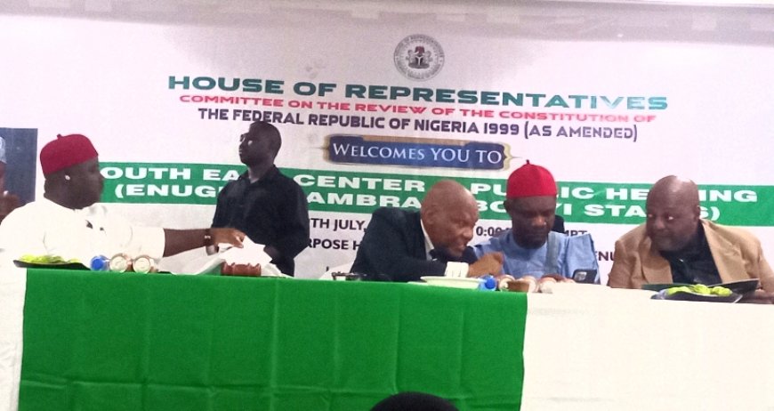Resolve South East Marginalization with Adada State creation --- Nwodo urges Reps com'tte