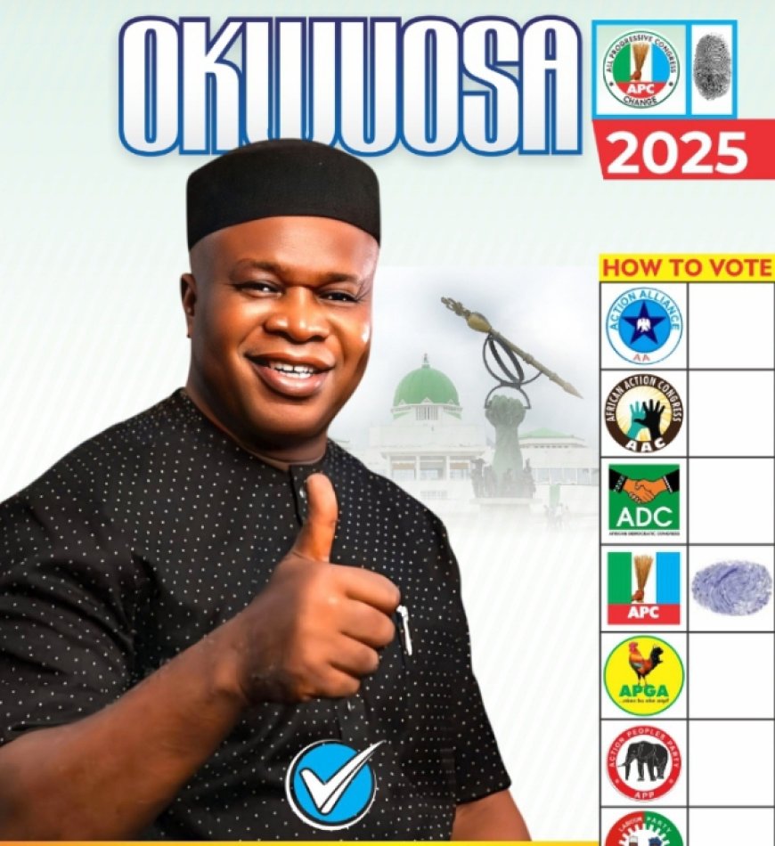 Why Okwuosa Deserves Anambra South Senatorial District Seat