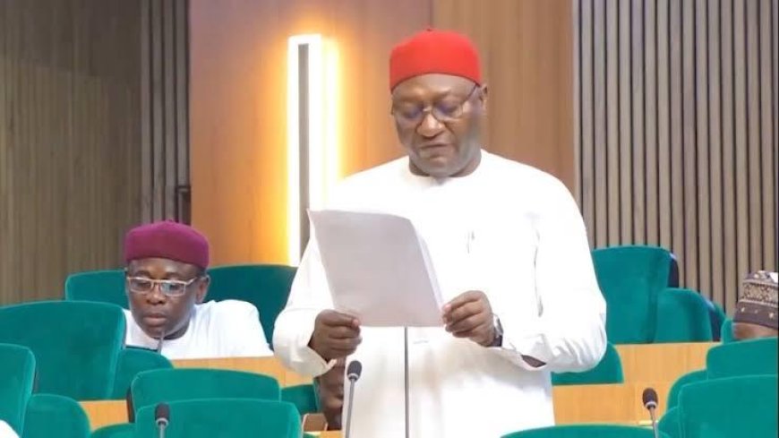 3rd Prof Nnamchi'sTech-Hub & Youth Innovation holds in Enugu, Isi-Uzo