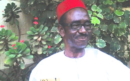 Fulani agenda, main cause of Nigeria's  restructure problem -- Amucheazi