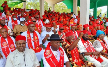 2027: Okorie Urges Ndigbo to Register, Vote in Massive Numbers