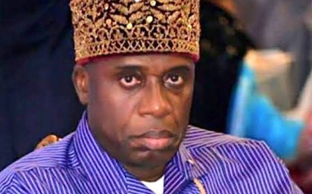 Amaechi's Pledge Unrealistic, Not Curable by Executive Fiats - Onoh