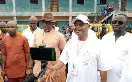 APC Congratulates Ngene, LP Winner of Enugu South Rerun election