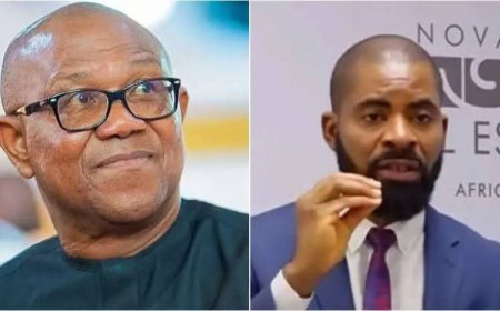 WITNESS: Peter Obi didn't tell Adeyanju those fallacies - Journalist Ike Abonyi