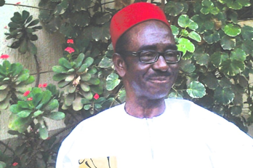 Fulani agenda, main cause of Nigeria's  restructure problem -- Amucheazi