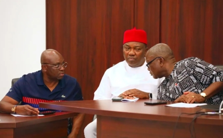 CONVENTION: Wike group Places  knife on PDP's neck