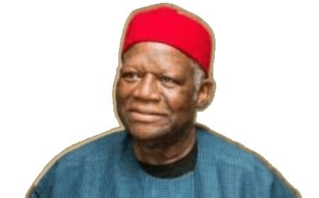 VIEW: The Ike Nwachukwu We Never Knew