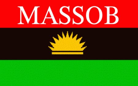 We've mobilized residents for Anambra guber election - MASSOB