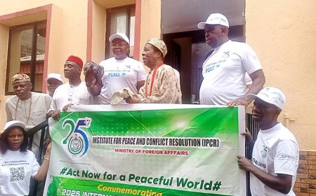 ICPR decries 65,000 Lives Lost To Israel-Gaza War