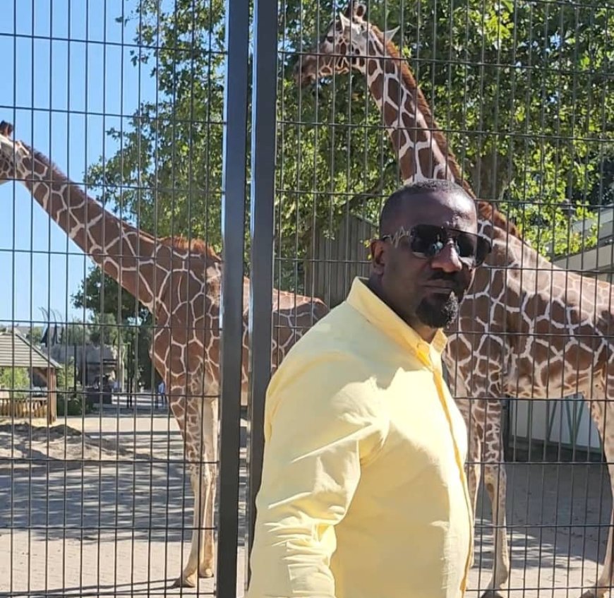 ‎Onoh commends Nigeria Customs’ seizure of 347 snakes, scorpions destined for export