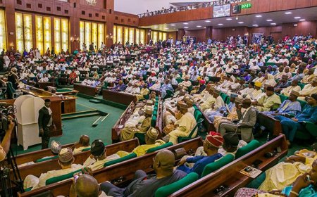 National Assembly approves new state creation for south east, independent candidacy