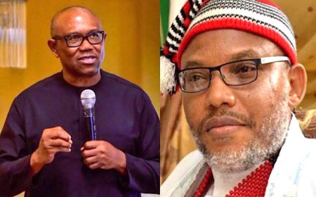Peter Obi's 2027 presidency better option than Nnamdi Kanu - Ohanaeze Chieftain