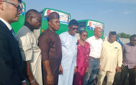 Senate urges FG, states to patronize local automobile factories