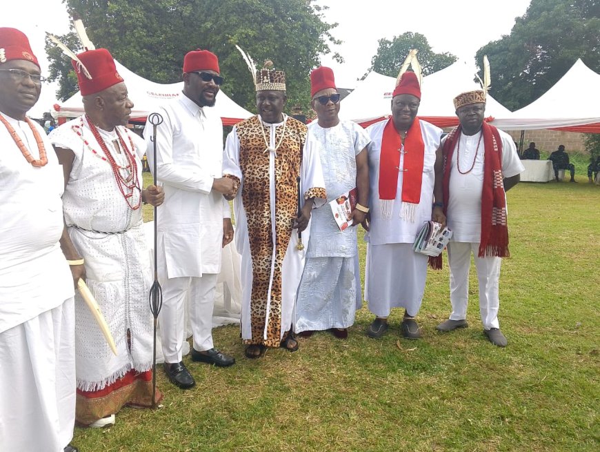 Nzuko Ozo Ndigbo awards Ngwu, Abaribe, Nwoko best Igbo Senators