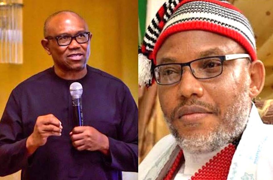 Peter Obi's 2027 presidency better option than Nnamdi Kanu - Ohanaeze Chieftain