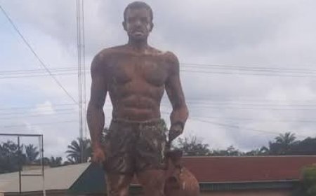 Ufu Elugu Ezike-Oba: Steer Clear - Osisi Itodo, com'tee warn transpers