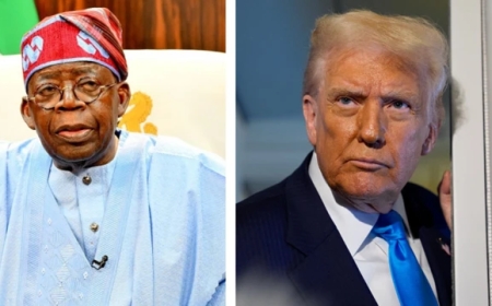 TRUMP: Tinubu moves against terrorists, clears Borno camps with airstrikes