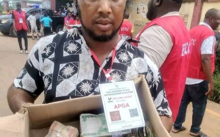 OPINION: Anambra Guber election improved but for vote-buying, apathy - Orient Foundation