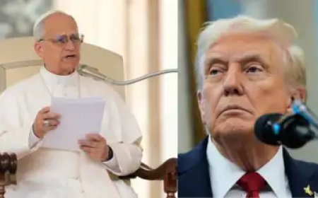 Nigeria persecutes Christians - Pope agrees with Trump