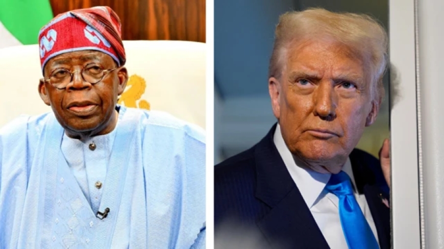 TRUMP: Tinubu moves against terrorists, clears Borno camps with airstrikes