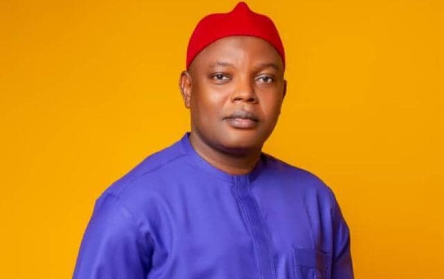 Gov Mbah's non tamper with LG funds has paid off in Enugu - Odo, Council Chair