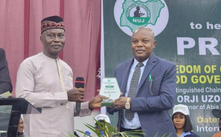 NUJ crowns Odo Enugu council chairman of year