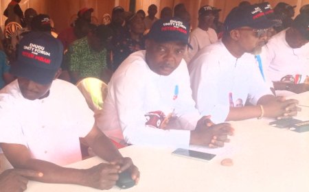 Gov Mbah, reason for progress in Nsukka zone - Support group