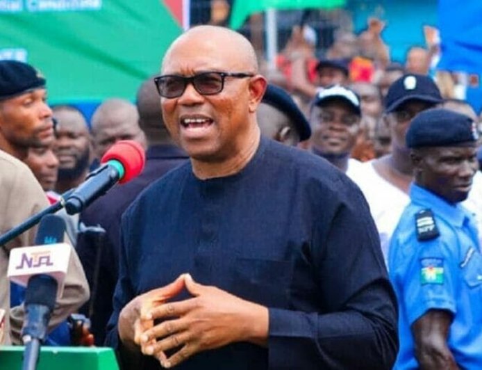 Why 'Barkiing Dogs' Are Not Capturing Peter Obi's Attention