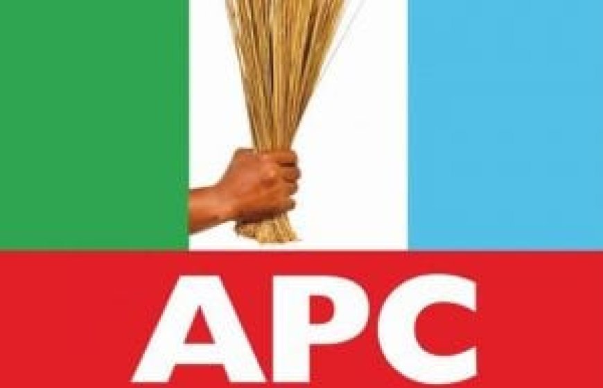 Anambra APC Foundation Members Protest alleged PDP dominance