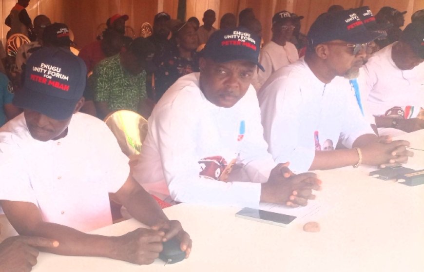 Gov Mbah, reason for progress in Nsukka zone - Support group