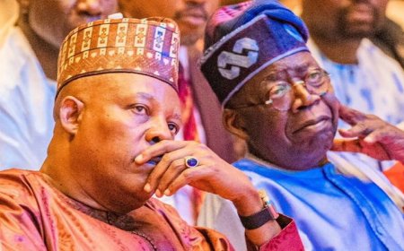 2027: Fear grows Tinubu may drop Shettima as running mate